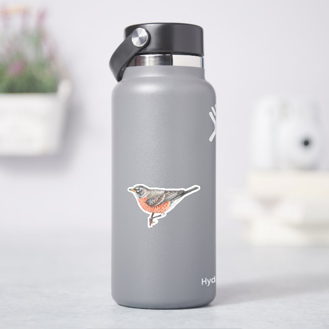 Autocollant Robin Américain (HydroFlask)
