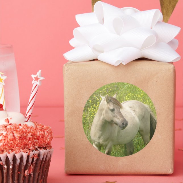 Autocollant rond à cheval sauvage mignon (Fête)