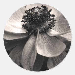 Autocollant rond Anemone Noir Blanc
