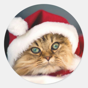 Autocollant rond classique chat tigré Santa