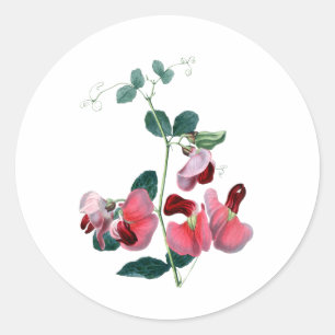 Autocollant rond classique de pois doux