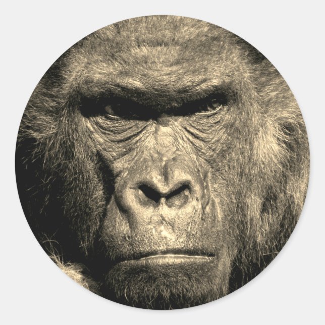 Autocollant rond classique Gorilla (Devant)