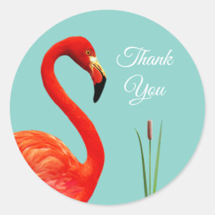 Autocollant rond classique Merci Flamant rose