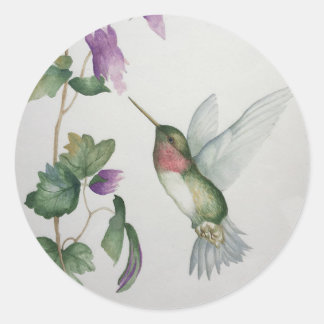 Autocollant rond colibri Fleur de jardin