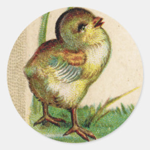 Autocollant rond de bébé de poussin antique de