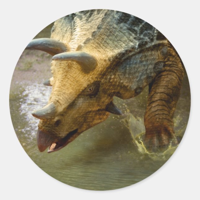 Autocollant rond Dinosaure Tricératops (Devant)