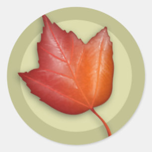 Autocollant rond Feuille d'érable rouge d'automne