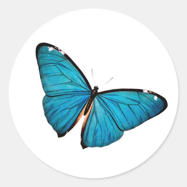 Autocollant rond Papillon Bleu (Devant)