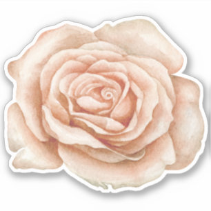 Autocollant Rose aquarelle