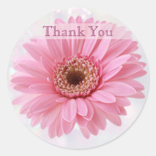 Autocollant rose de Merci de marguerite de Gerbera