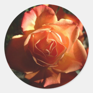Autocollant rose d'orange