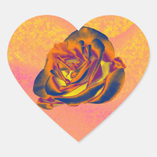 Autocollant Rose orange