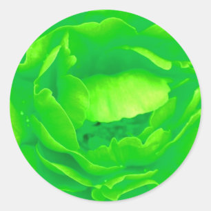 Autocollant Rose vert - personnalisable