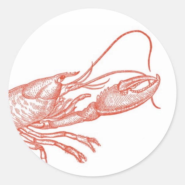 Autocollant rouge au homard (Devant)