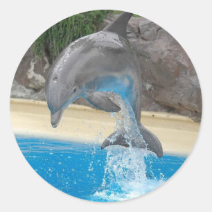 Autocollant sautant de dauphin