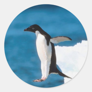 Autocollant sautant de pingouin