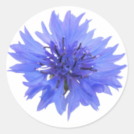 autocollant - simple fleur de maïs bleu