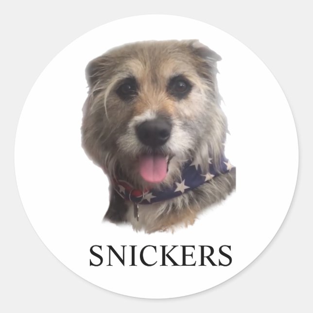 AUTOCOLLANT SNICKERS (Devant)