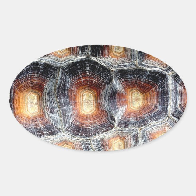Autocollant Sulcata Tortoise Shell (Devant)