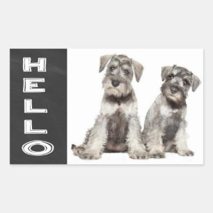 Autocollant tableau noir Chien Schnauzer miniature