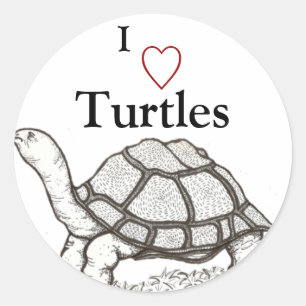 Autocollant tortue