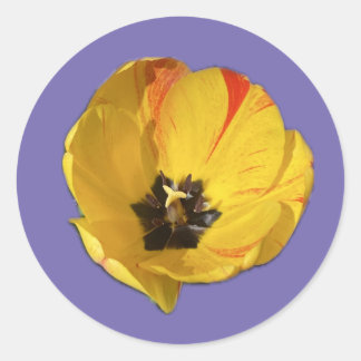 Autocollant tulipe ouvert jaune et rouge