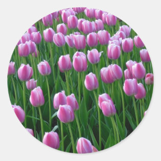 Autocollant Tulips 14