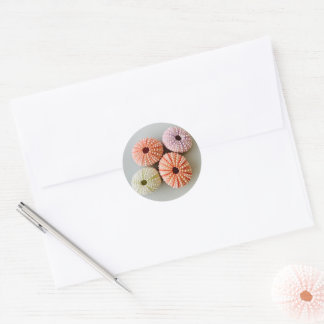 Autocollant uni Sea Urchin petit rond