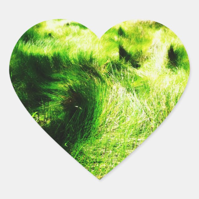 Autocollant vert (Devant)