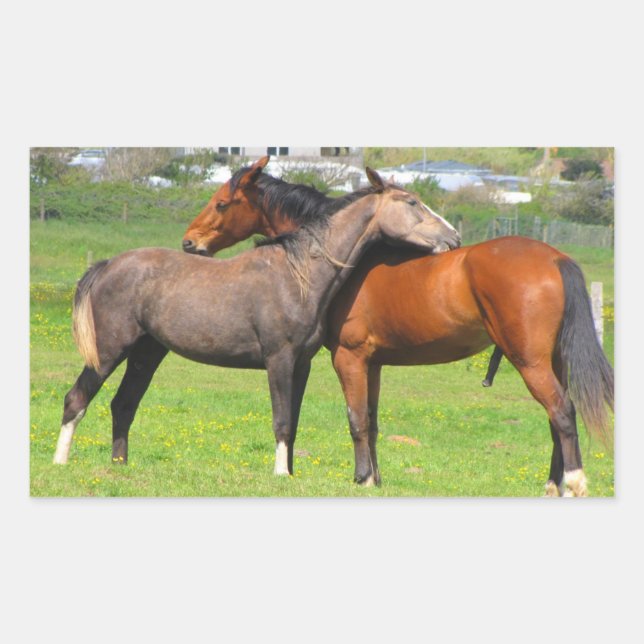 Autocollants (Devant)