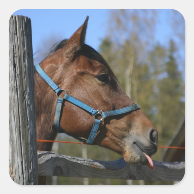 Autocollants (Devant)