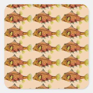 autocollants à enveloppes de poisson