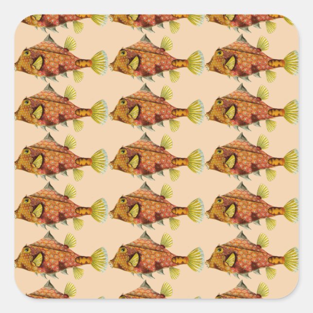 autocollants à enveloppes de poisson (Devant)