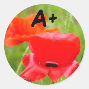 Autocollants A+ Fleur de coquelicot autocollant En