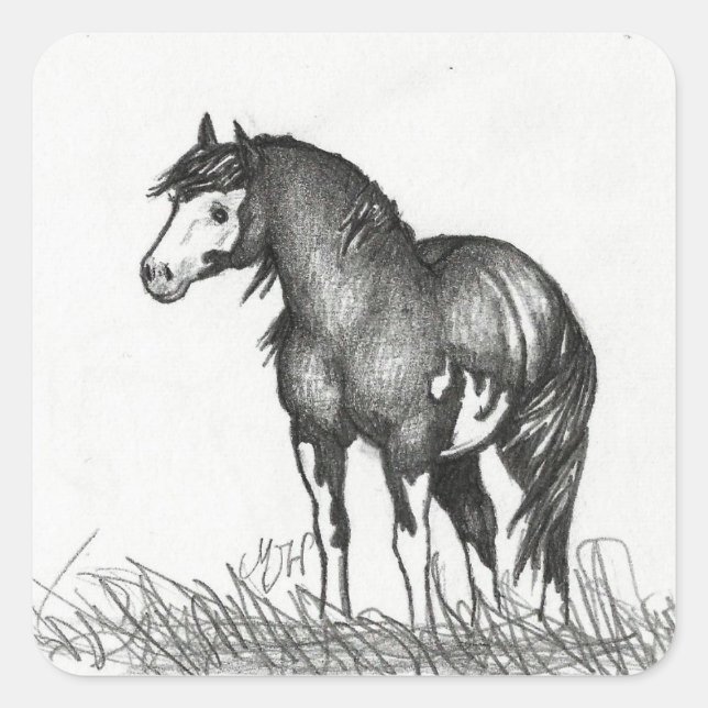 Autocollants adorables à Cheval de Peinture (Devant)
