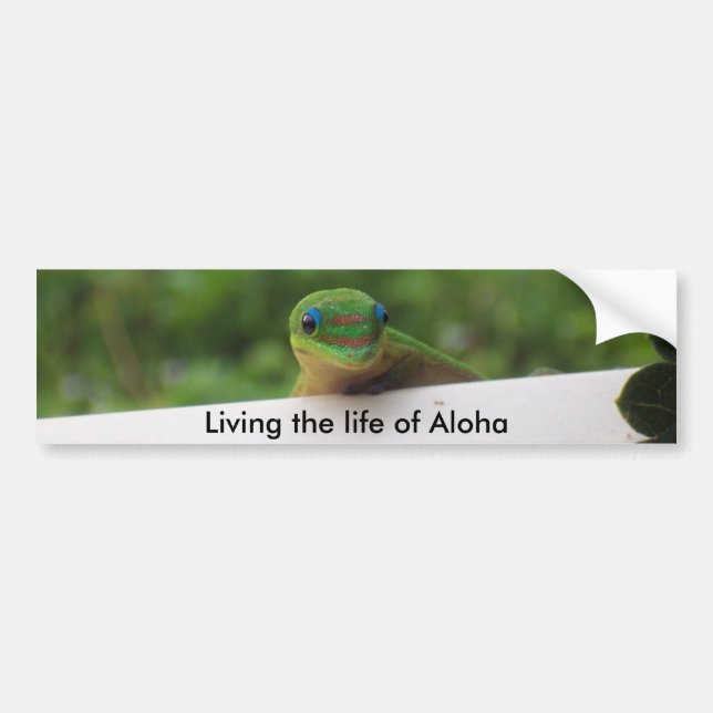 Autocollants Aloha Gecko (Devant)