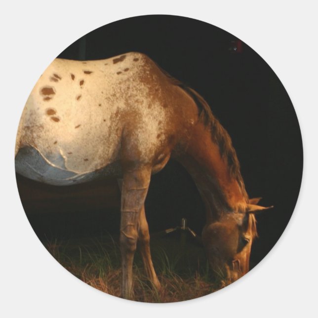 Autocollants Appaloosa (Devant)