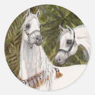 Autocollants Arabes de cheval de palmeraie
