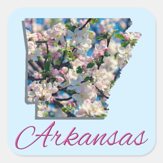 Autocollants - ARKANSAS (Devant)
