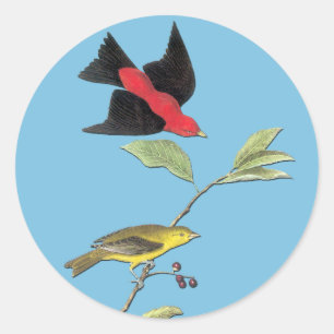 Autocollants Audubon Scarlet Tanager Bird Art
