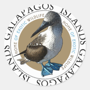 Autocollants aux pieds bleus d'idiot