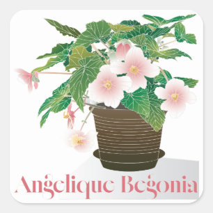 Autocollants Begonia