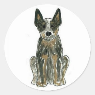 Autocollants Blue Heeler pour chien de bétail aust