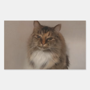 Autocollants Calico Cat