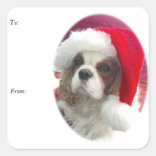 Autocollants cavaliers d'étiquette de cadeau de