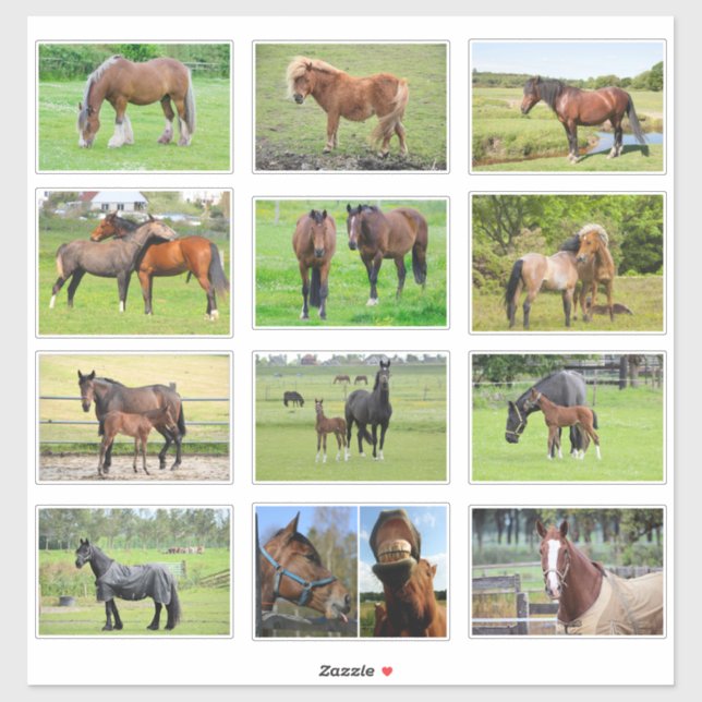 Autocollants chevaux (ou VOS Photos) (Feuille)