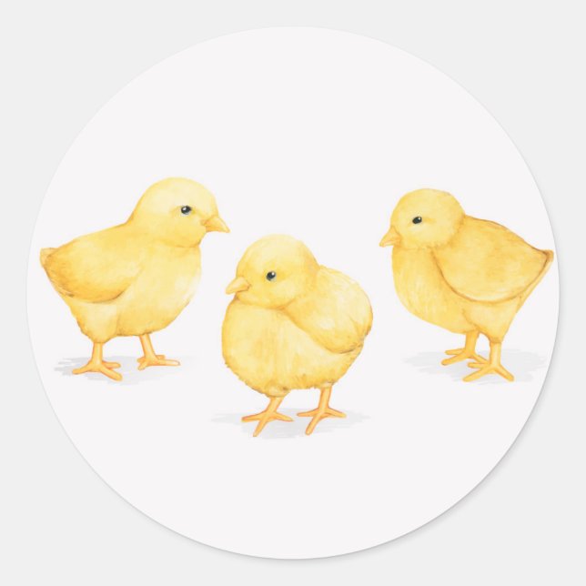 AUTOCOLLANTS CLASSIQUES RONDS POUSSINS DE PÂQUES (Devant)