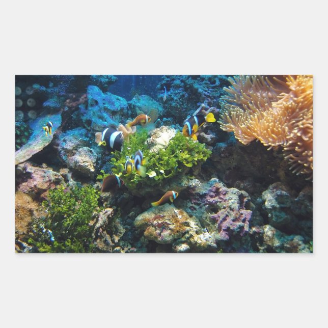 Autocollants Coral Reef (Devant)