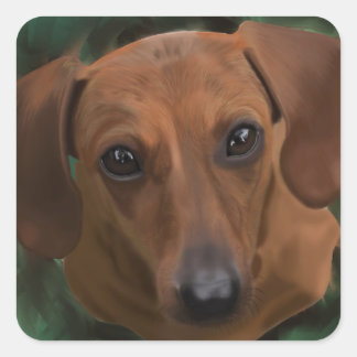 Autocollants Dachshund