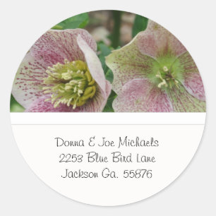 Autocollants d'adresse de fleurs de Hellebores